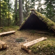 Survival Mode - Gio Silanesu Coaching Calm Mind Collective - survival mode bush camping