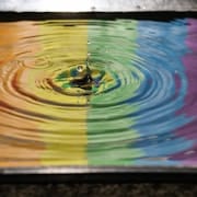 Ripple Effect - Blog from chaos to calm - Gio Silanesu Coaching Ripple Effect - Blog from chaos to calm