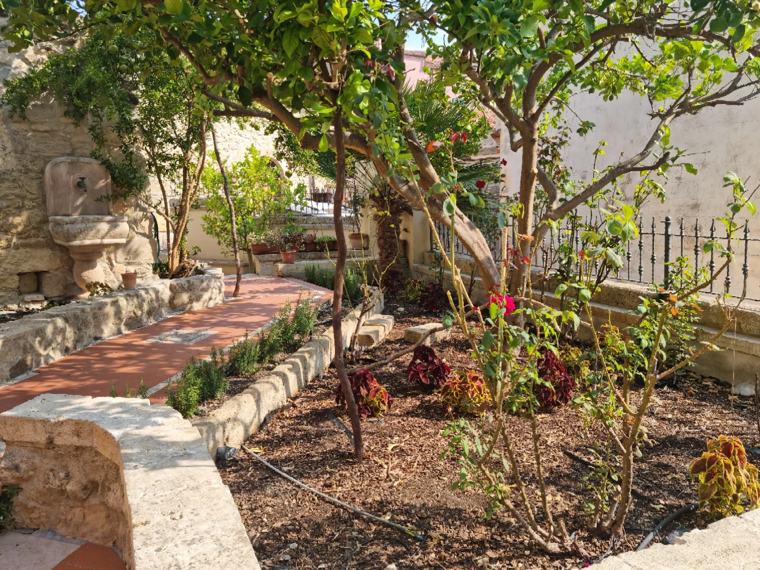 A garden with citrus trees and winding stone borders